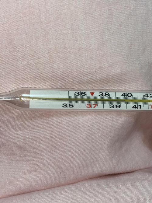 狗狗发烧40度怎么办