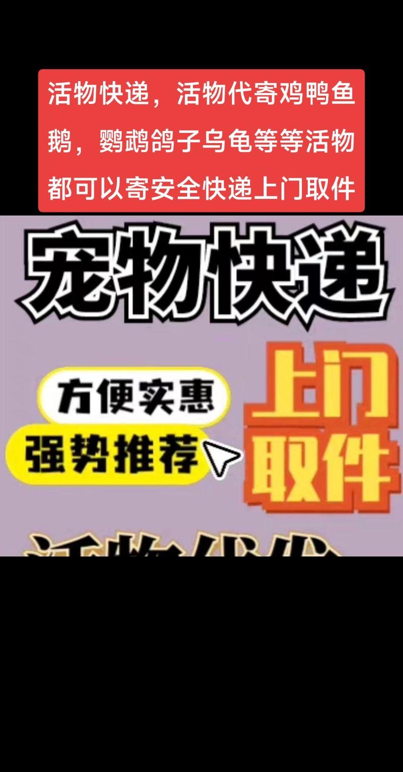 快递可以寄宠物活物嘛?