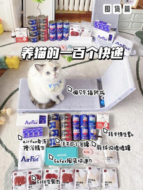 猫怎么寄快递