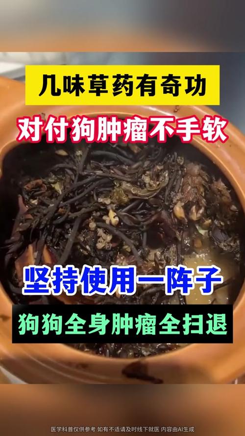 狗狗能吃苋菜吗?