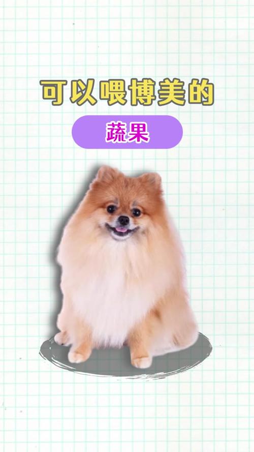 狗狗能吃红苋菜吗