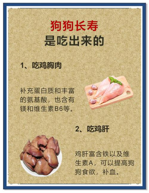 狗狗补钙的食物有哪些