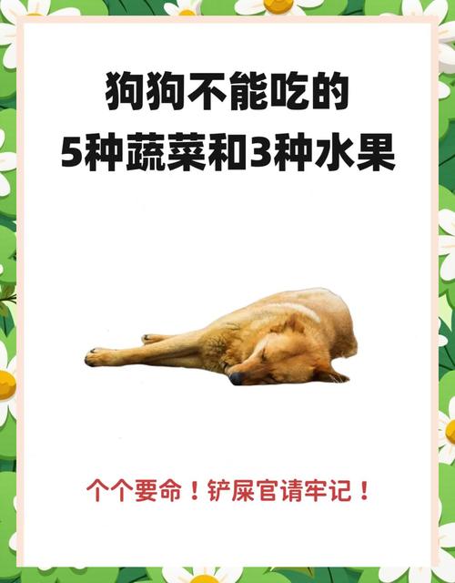 为什么不能随便喂给狗苋菜呢?