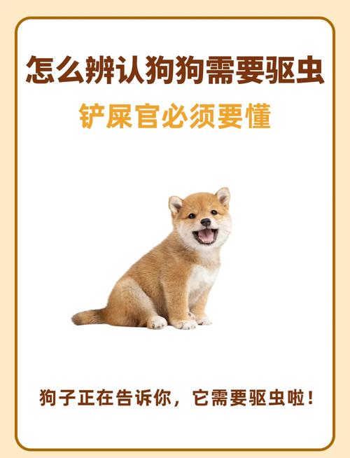 狗狗吃土是什么原因