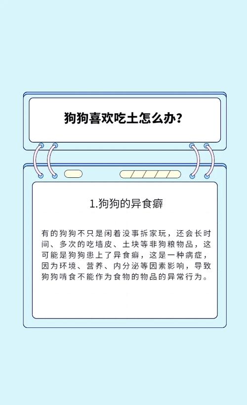狗狗最近老吃土怎么办?