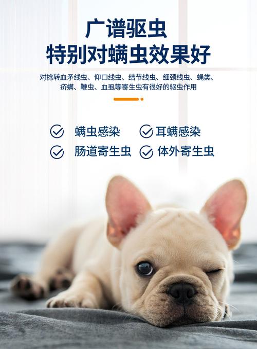 狗狗去螨虫什么药比较好的方法