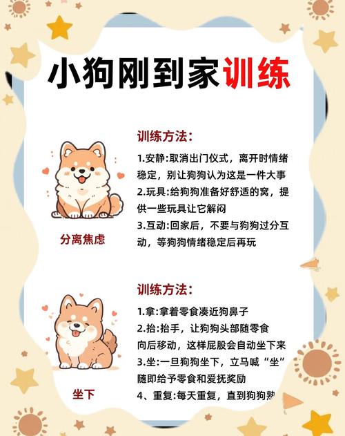 狗狗很犟不听话该怎么教育?