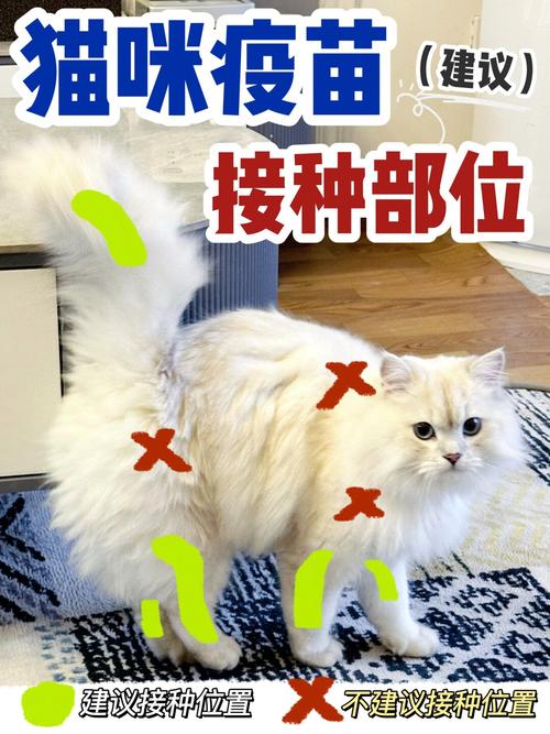 猫打疫苗在什么地方吗