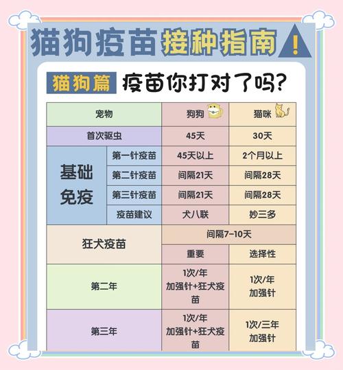 猫咪疫苗打在哪个部位