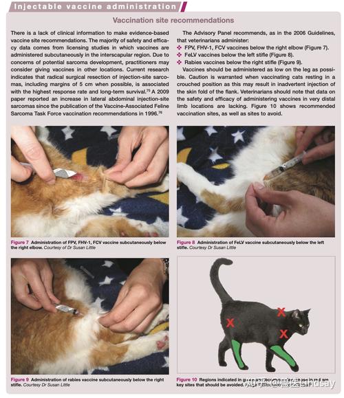 给猫咪打疫苗,能去宠物店吗?