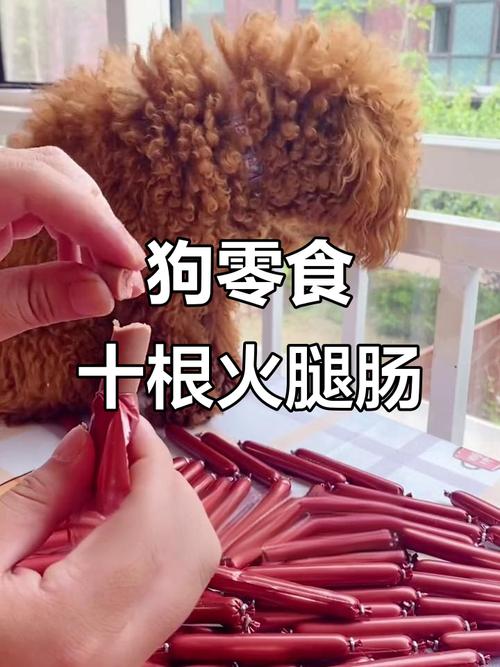 小狗一天吃几根火腿肠?