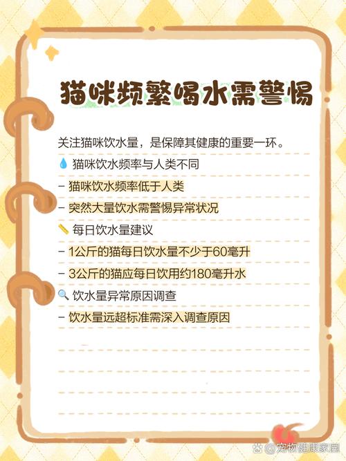 猫咪突然很会喝水是为什么