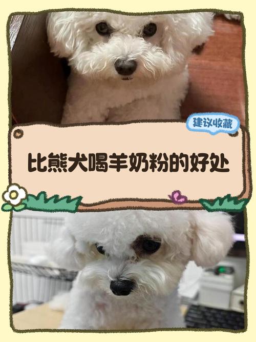 小狗可以喝人喝的奶粉吗