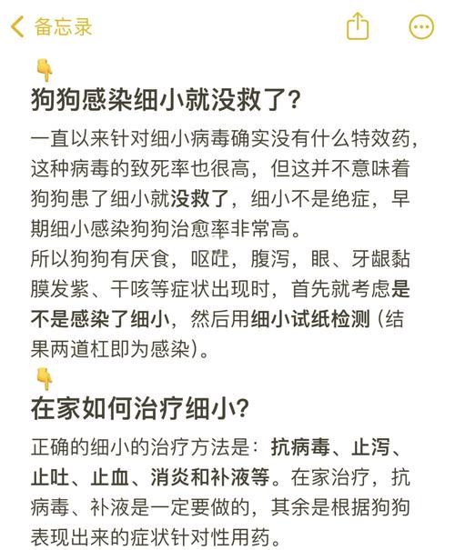 狗狗得细小好转的征兆都是什么