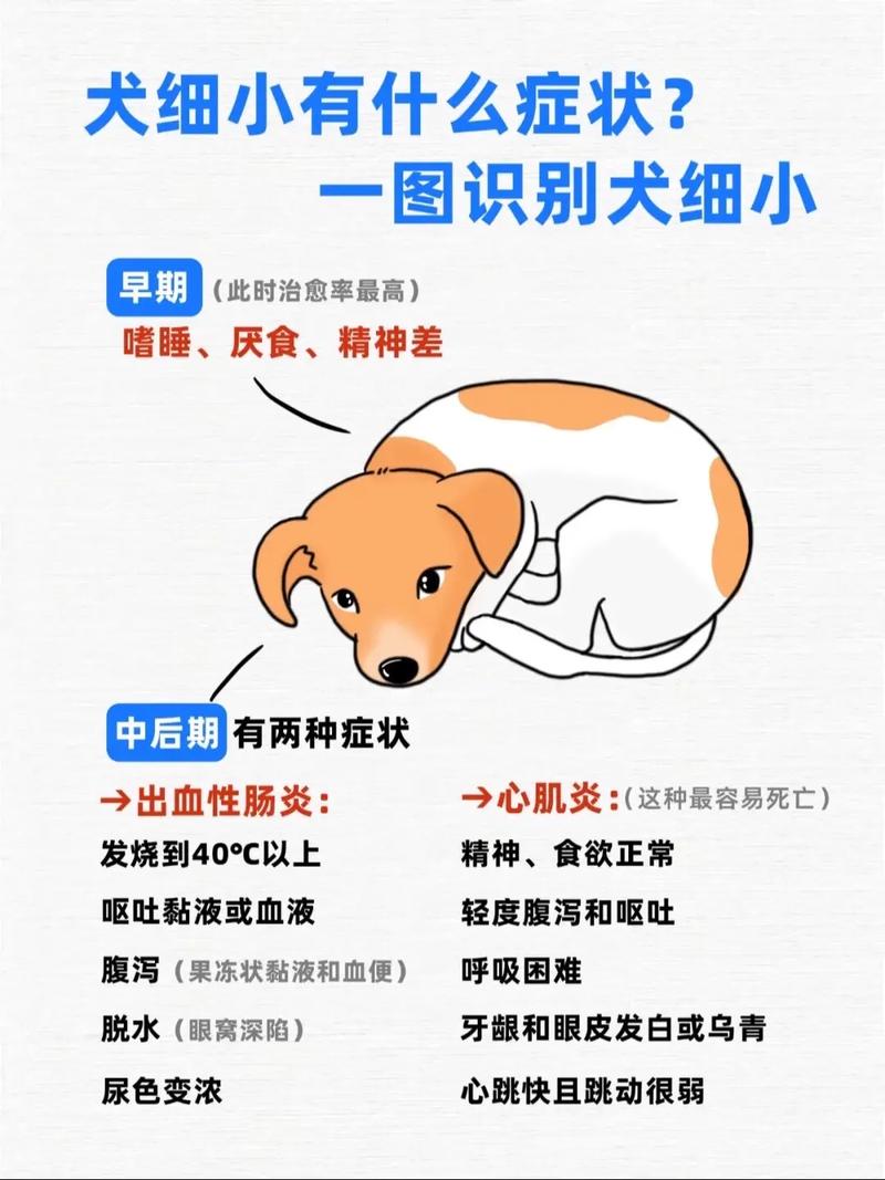 细小怎么看出开始好转了