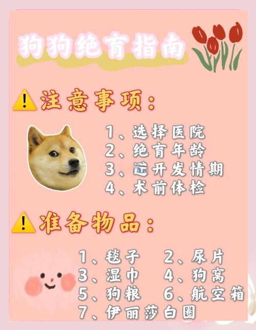 狗狗比较好的绝育年龄