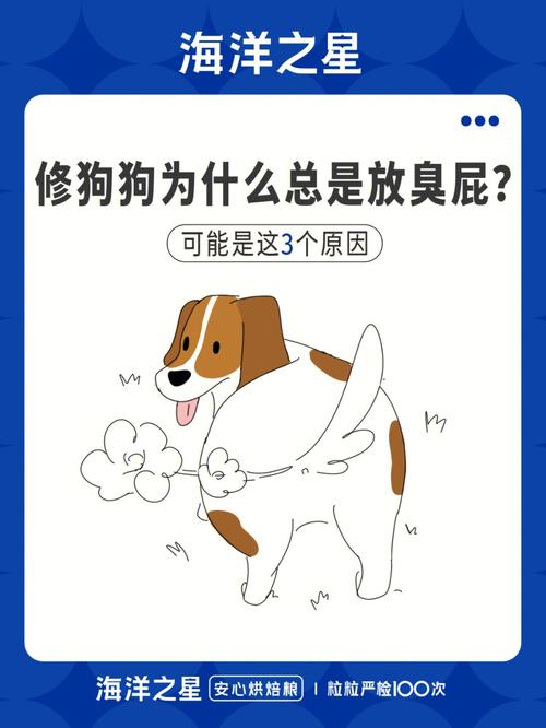 狗狗老放屁而且很臭什么原因