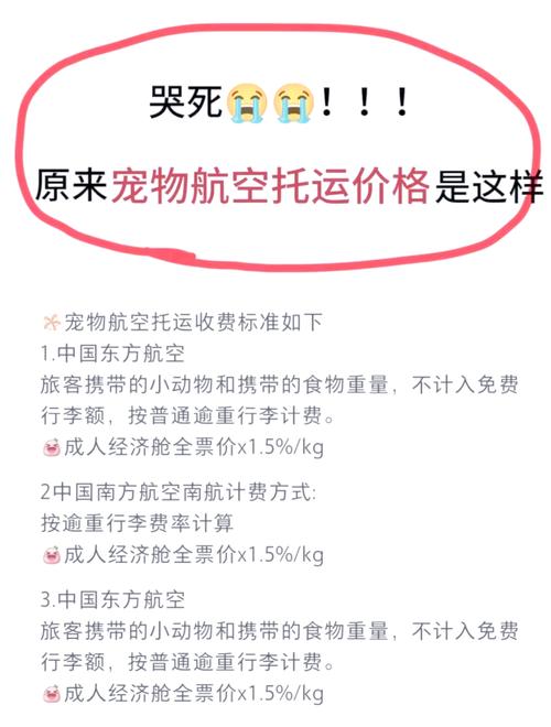 狗狗从上海到长沙空运大概要多少钱