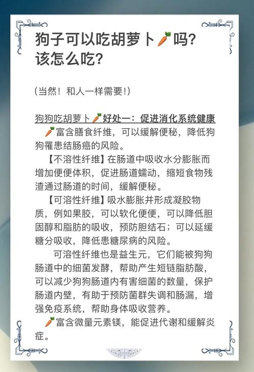 狗狗吃胡萝卜有什么好处吗