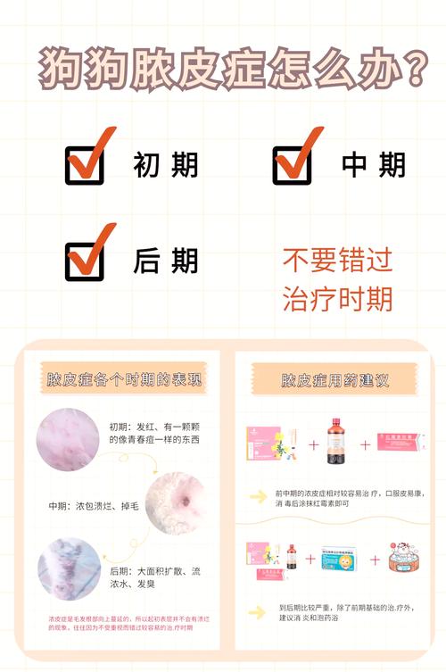 狗狗脓皮症如何解决