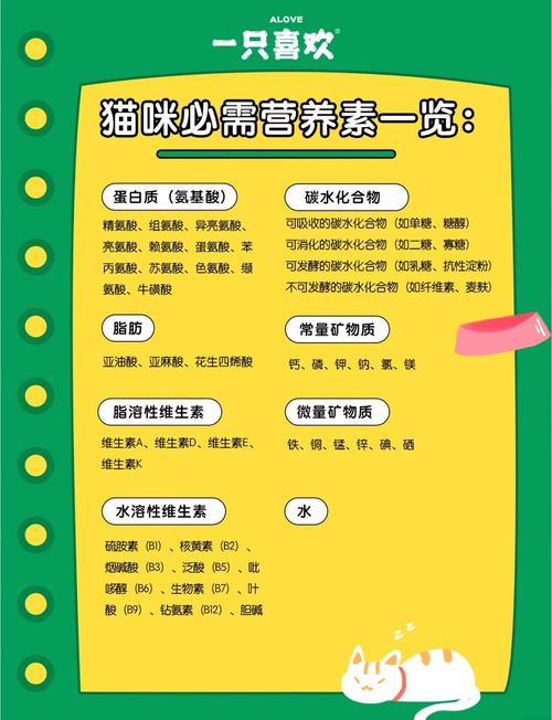 猫咪知道饱吗为什么特别能吃