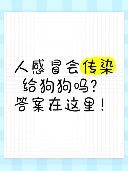 人的感冒会传染给狗吗