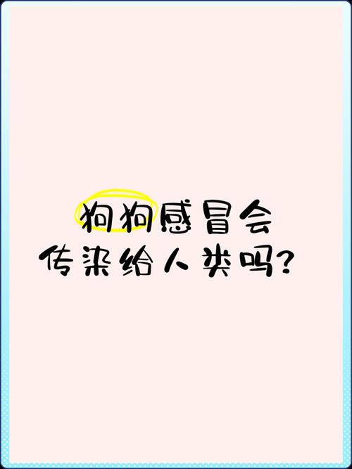 人感冒会传染给狗吗