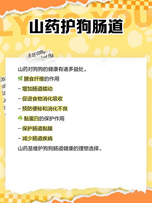 狗狗吃山药好吗?