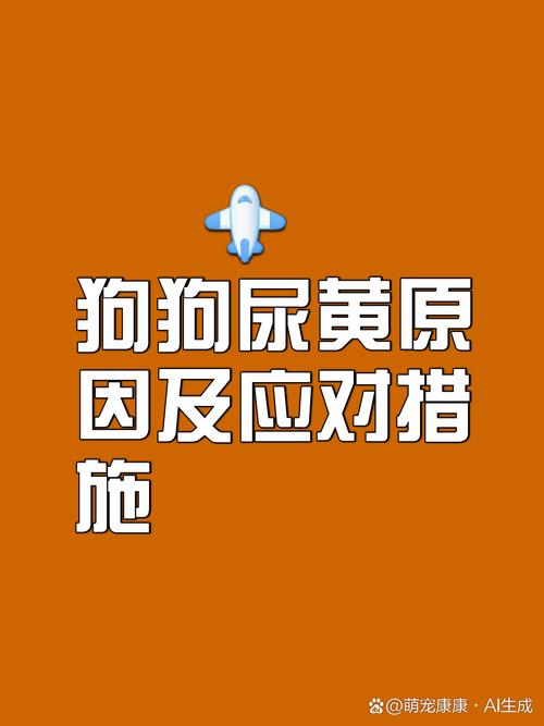 狗狗撒尿很黄怎么能改善?