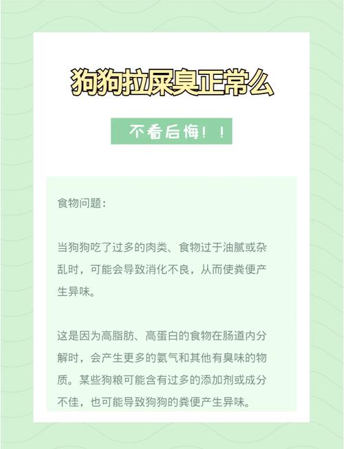 狗狗吃狗粮后拉屎很臭是怎么回事?