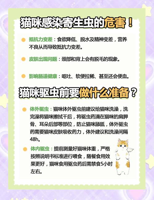 猫咪驱虫怎么驱