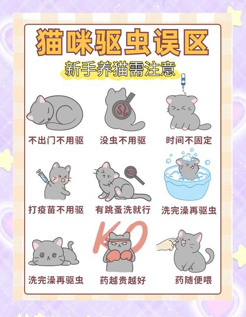 猫咪体内驱虫,哪种药更适合?