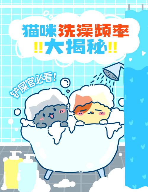 猫咪怎么洗澡,猫咪多久洗一次澡比较好?