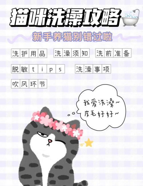 猫咪多久洗一次澡