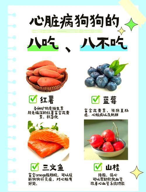 狗狗生病了吃什么食物