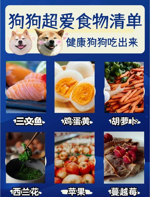 狗狗吃什么食物比较好