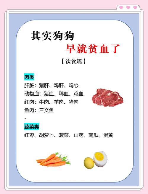 狗狗贫血吃什么食物好?狗狗贫血食补