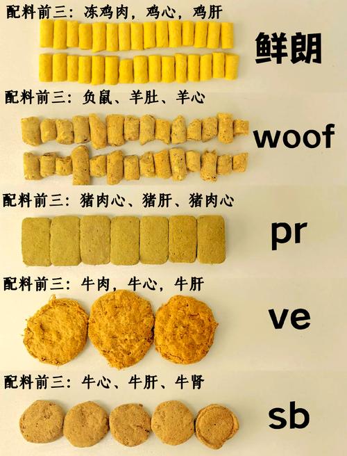 狗狗干燥吃什么食物好