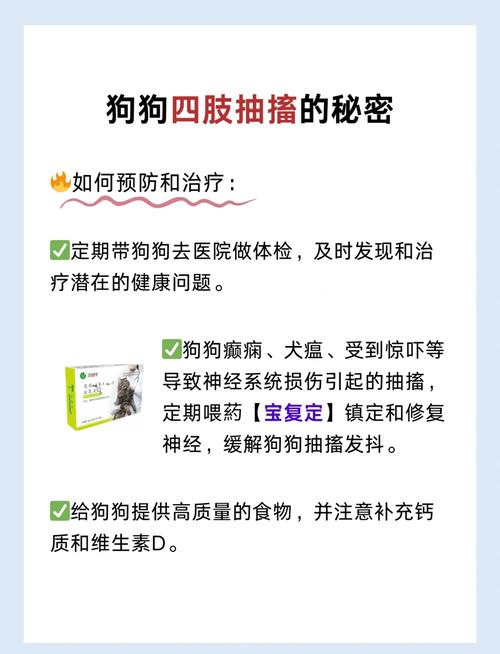 狗狗一直抽搐怎么回事