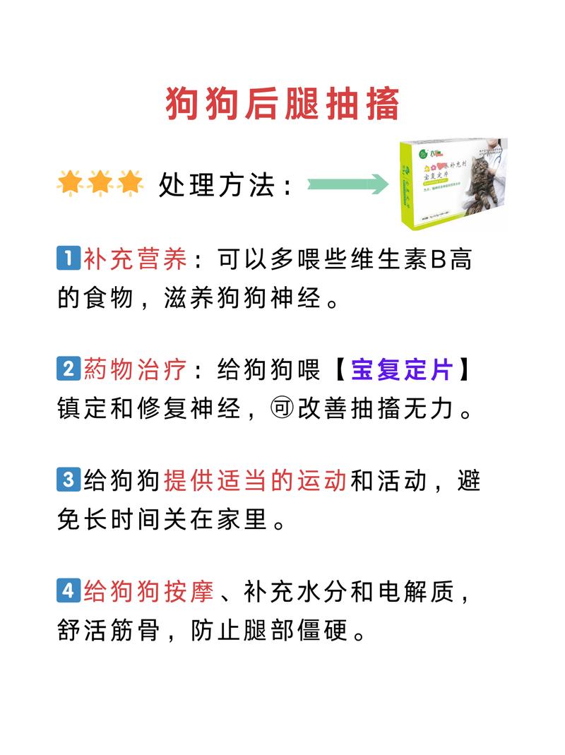 狗狗一抽一抽像哭似的怎么回事,狗狗突然一抽一抽像哭似的