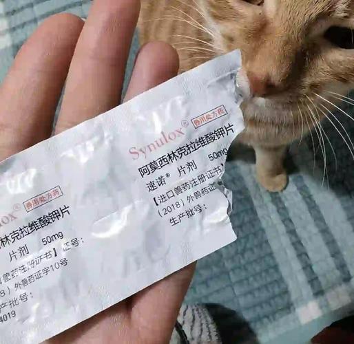 速诺片猫咪一次吃多少(两个月的小猫吃速诺吃半片吗)