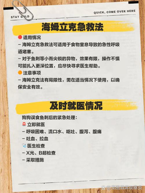 小狗误吃鱼刺怎么办