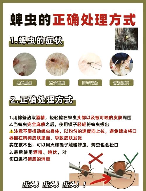 狗狗身上有蜱虫体外驱虫能去掉吗