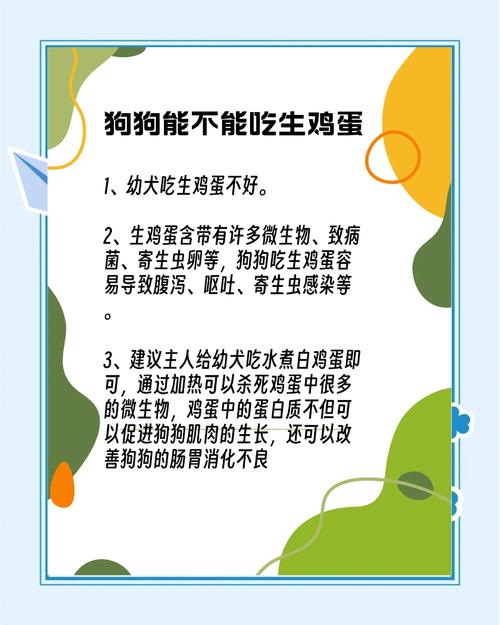 狗狗为什么不能蛋清