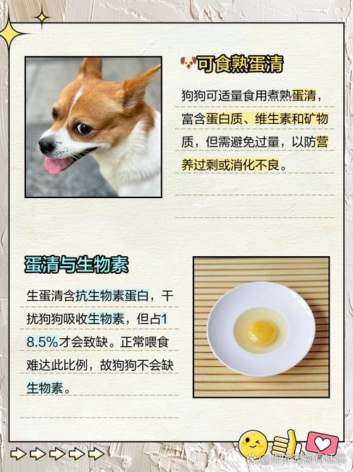 狗狗吃熟蛋清会怎么样?