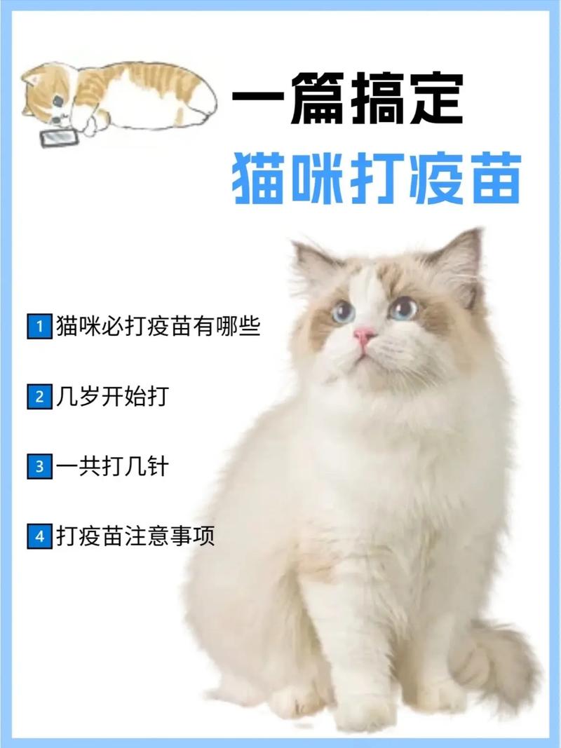 猫咪多久打一次疫苗