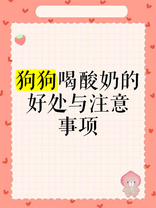 狗狗可以每天喝酸奶吗