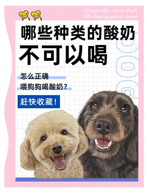 狗可以喝人喝的酸奶么