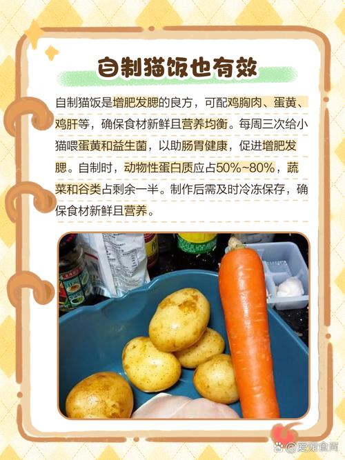 猫吃什么可以增肥发腮?