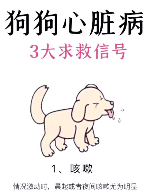 狗狗死的时候舌头是白色的、请问这正常吗